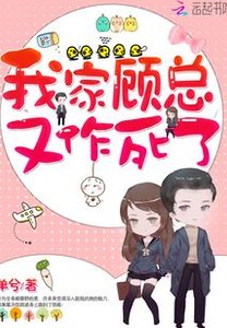 《我家顾总又作死了》
