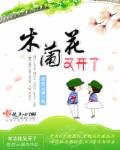 《木蘭花又開了》
