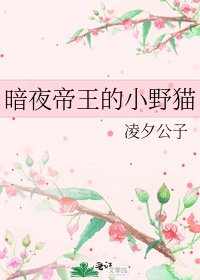 《暗夜帝王的小野貓》