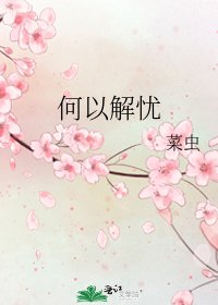 《何以解忧》