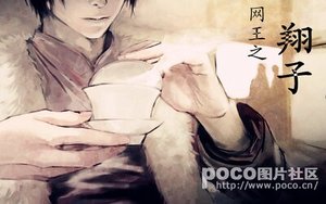 《(网王同人)网王之翔子》